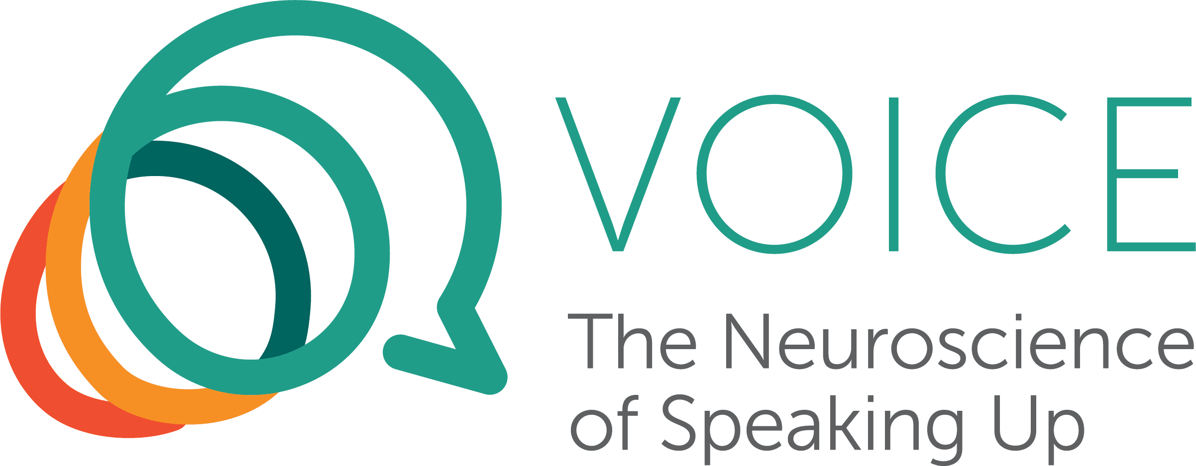 VOICE_logo_inline_RGB