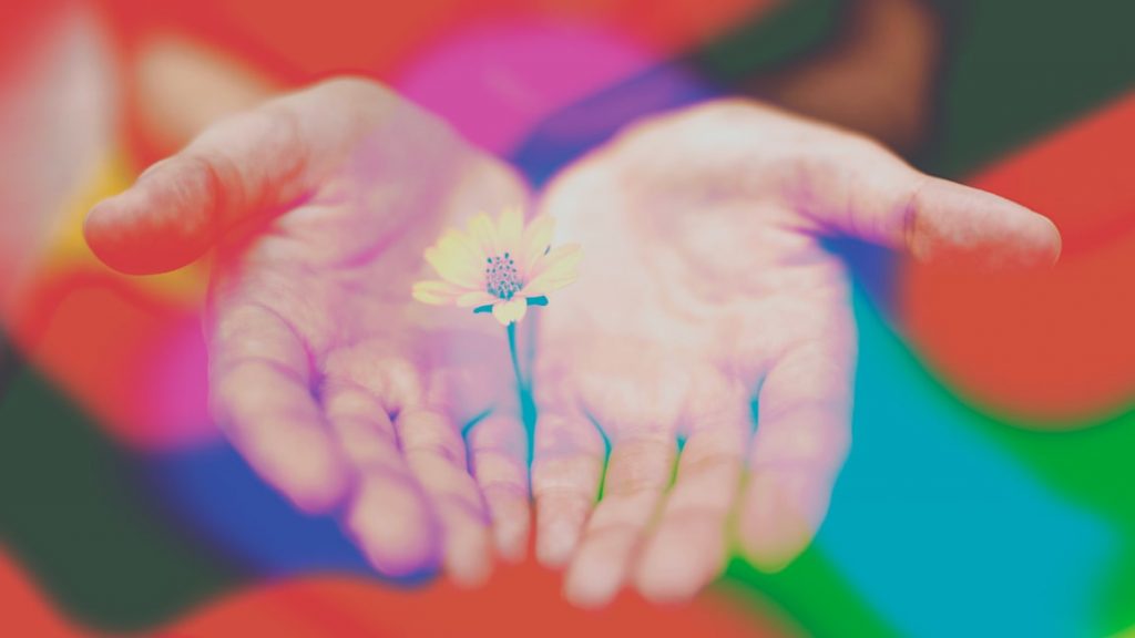 An image depicting a pair of human hadns passing a flower toward the viewpoint. Featured image for an article titled "Stop telling managers to be empathetic. Do this instead."