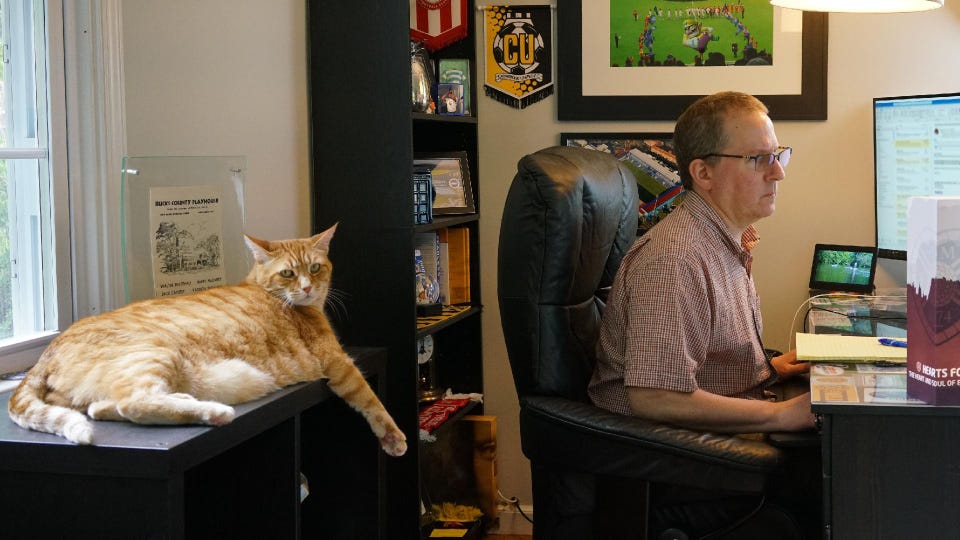 a man works on his computer while his cat sits on the filing cabinet next to him
