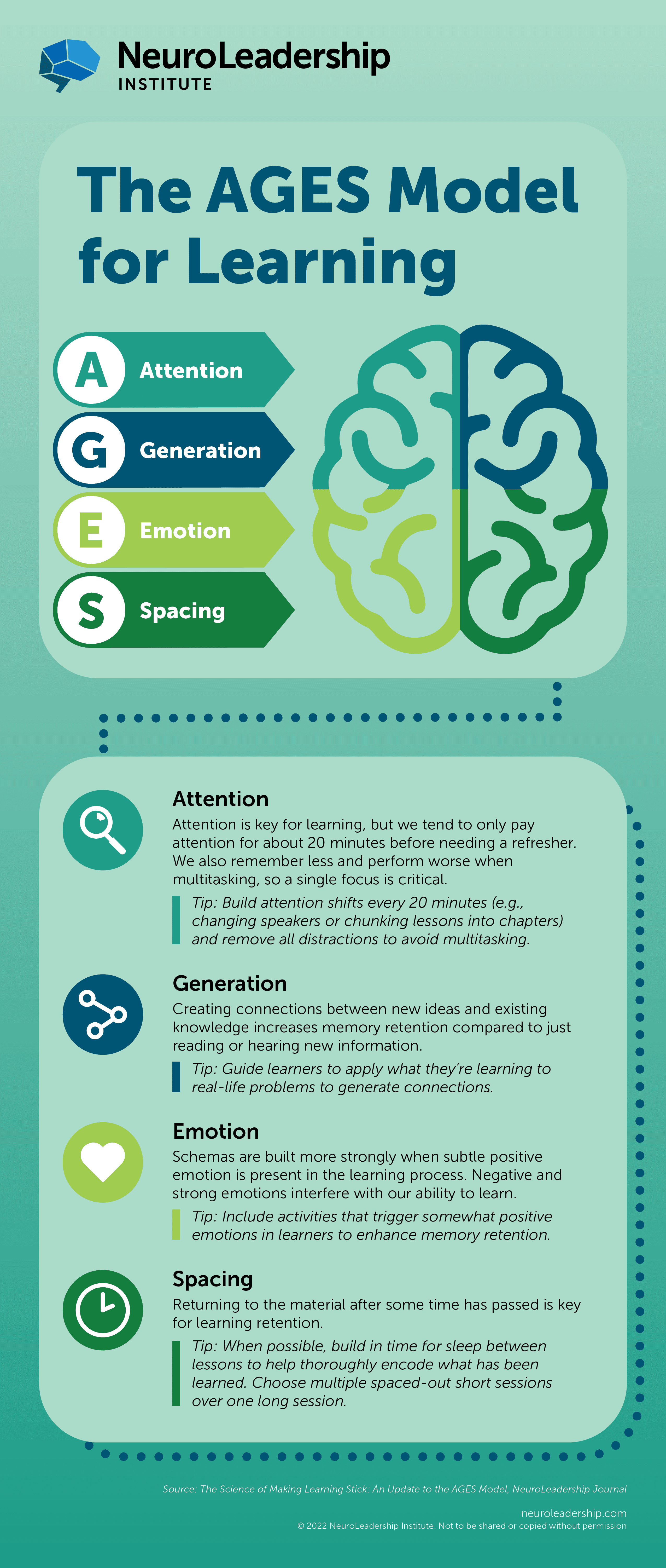 An infographic with the title “The AGES Model for Learning.” At the top of the image, the AGES acronym is broken out: attention, generation, emotion, spacing. Below that, there are four sections, one per letter, with the following information: Attention. Attention is key for learning, but we tend to only pay attention for about 20 minutes before needing a refresher. We also remember less and perform worse when multitasking, so a single focus is critical. Tip: Build attention shifts every 20 minutes (e.g., changing speakers or chunking lessons into chapters) and remove all distractions to avoid multitasking. Generation. Creating connections between new ideas and existing knowledge increases memory retention compared to just reading or hearing new information. Tip: Guide learners to apply what they’re learning to real-life problems to generate connections. Emotion. Schemas are built more strongly when subtle positive emotion is present in the learning process. Negative and strong emotions interfere with our ability to learn. Tip: Include activities that trigger somewhat positive emotions in learners to enhance memory retention. Spacing. Returning to the material after some time has passed is key for learning retention. Tip: When possible, build in time for sleep between lessons to help thoroughly encode what has been learned. Choose multiple spaced-out short sessions over one long session. At the bottom of the image, the source is listed as The Science of Making Learning Stick: An Update to the AGES Model, NeuroLeadership Journal