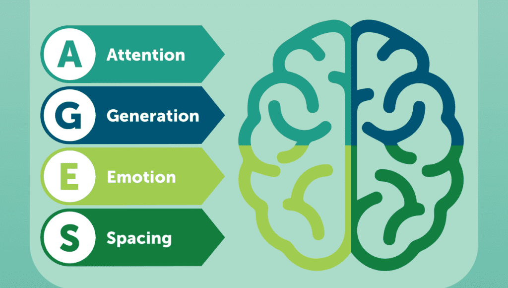 Infographic of AGES Model